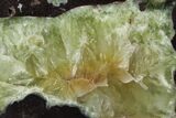 Wide Polished Prehnite Slab - Australia #95216-1